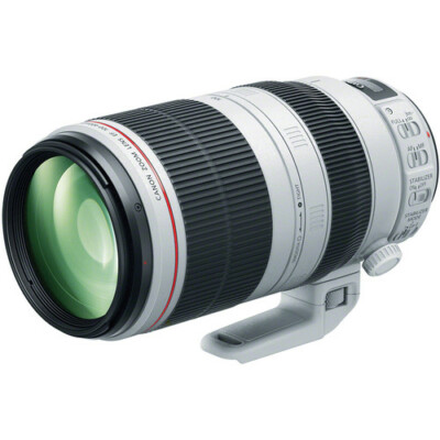 Canon EF 100-400mm f/4.5-5.6L IS II USM Lens - White for sale