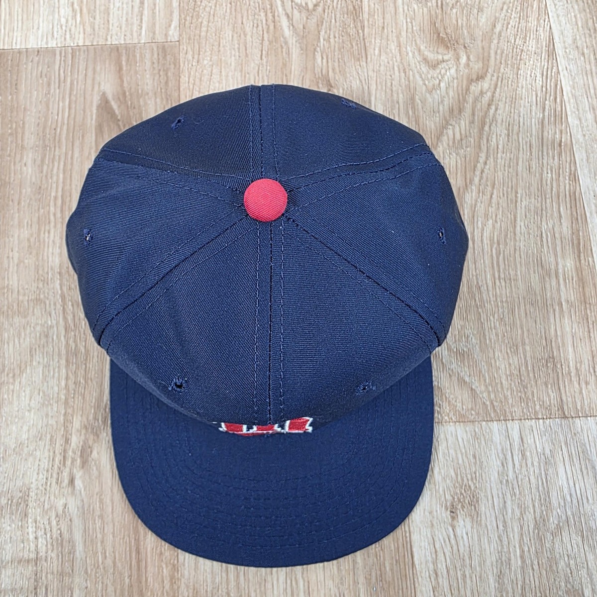 Vintage Minnesota Twins Hat Cap Snap Back MLB Baseball Blue Red