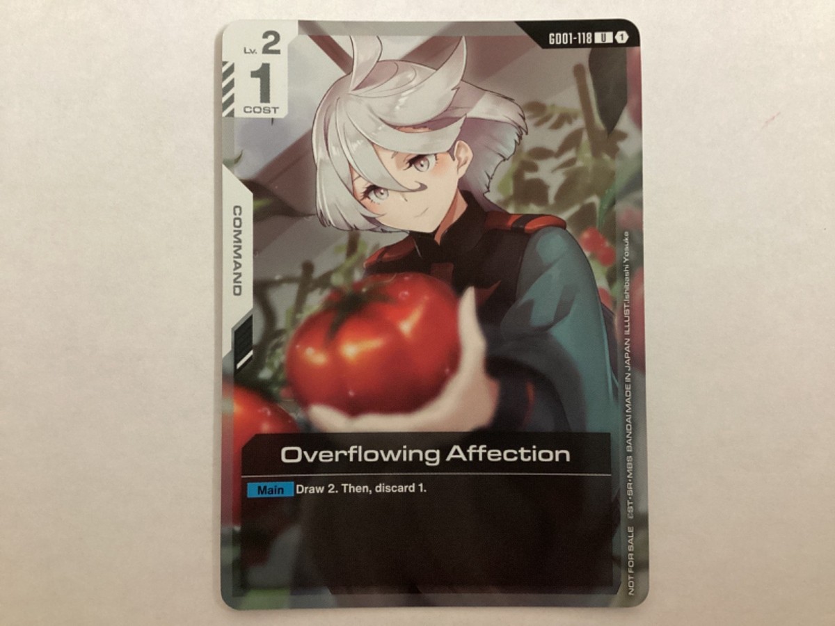 Gundam Card Game TCG Overflowing Affection FIrst Combat Tournament
