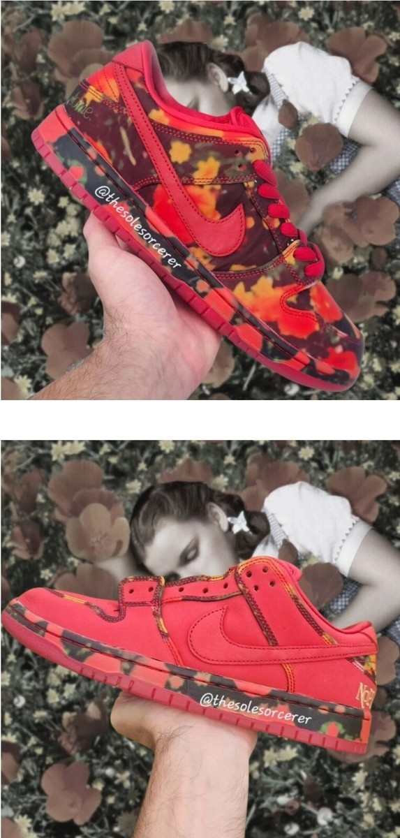 Nike SB Dunk Low Pro x Wizard Of Oz Poppy Field | Mens Sz 9.5