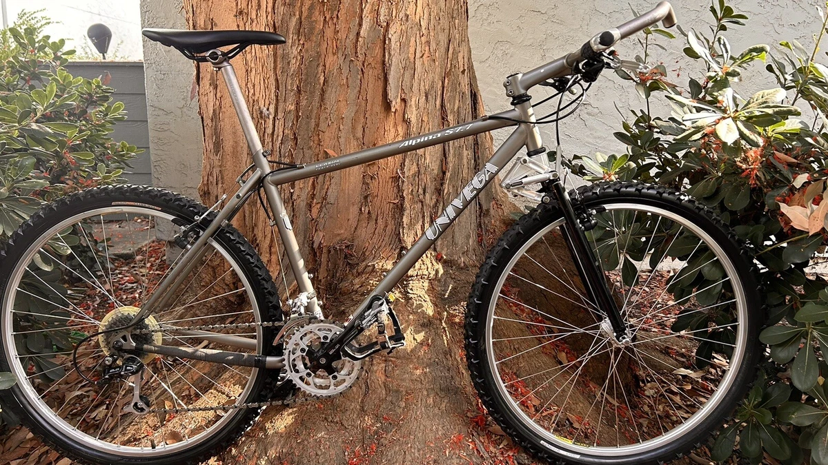 Steel Frame 26 in Mountain Bike Vintage Bikes for sale | eBay