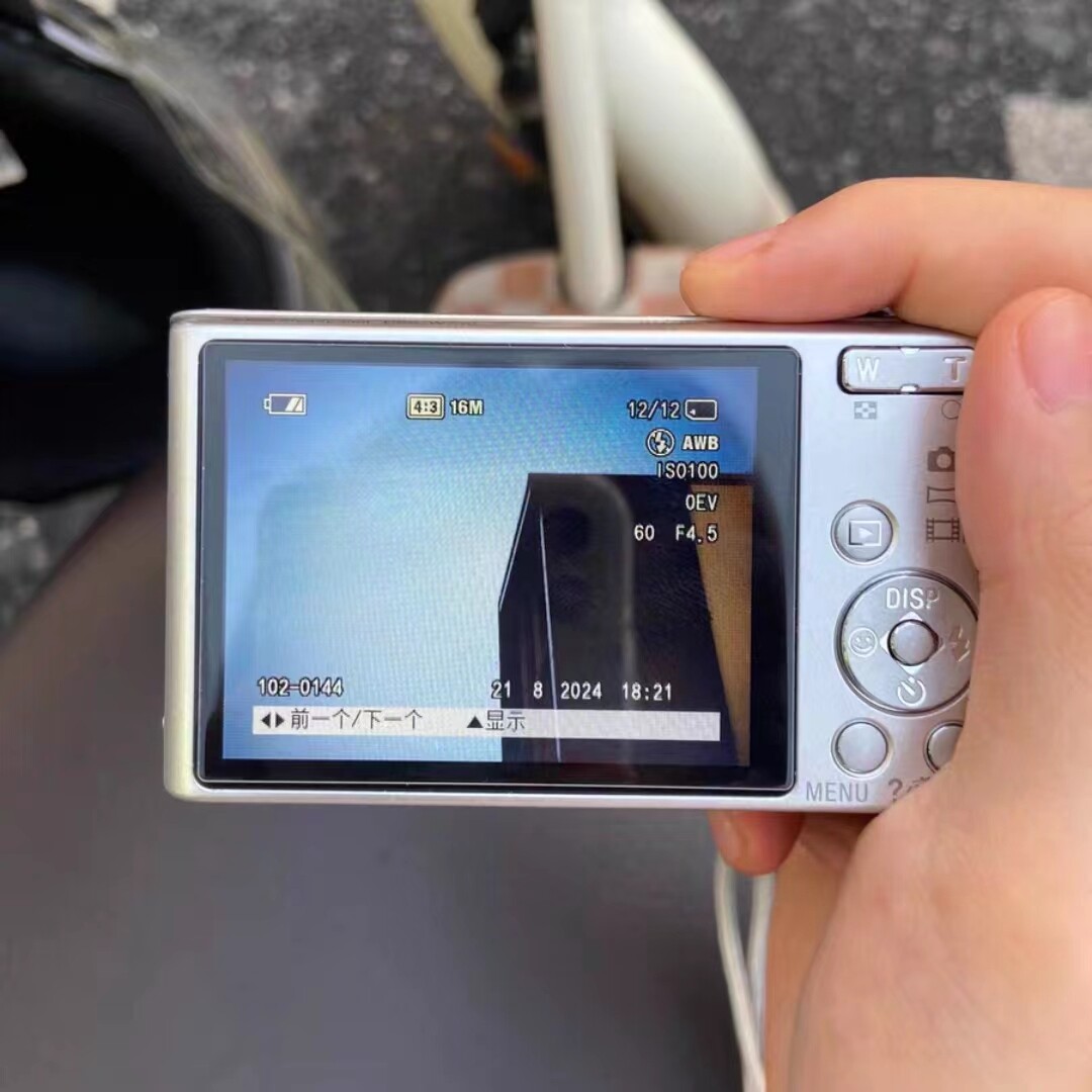 SONY Cyber-shot DSC-W730 16.1MP CCD Vintage Digital Camera - 100