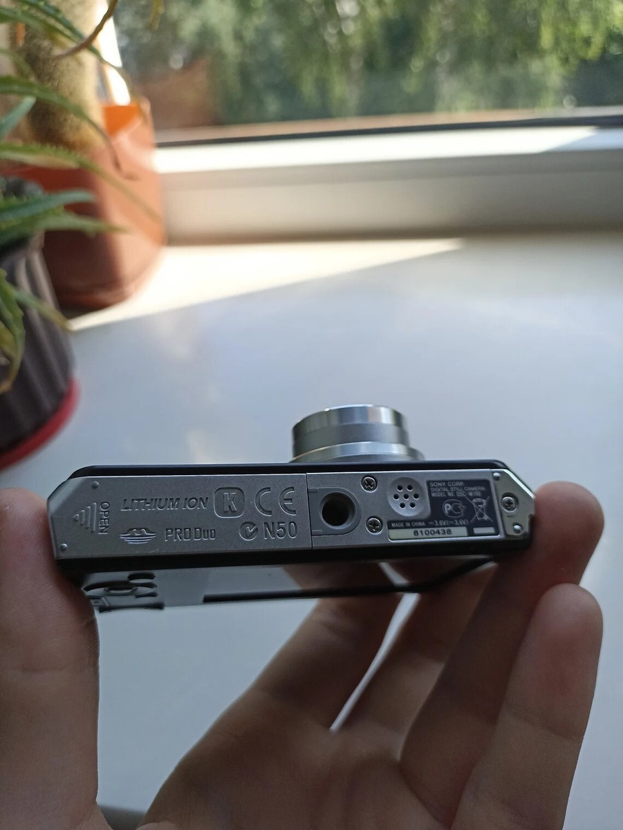 Sony Cyber-shot DSC-W190 12.1MP 3x Optical Zoom Digital Camera