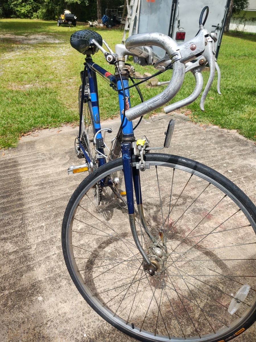 Raleigh Sun Tour Sakae custom bike - 1990's model | eBay