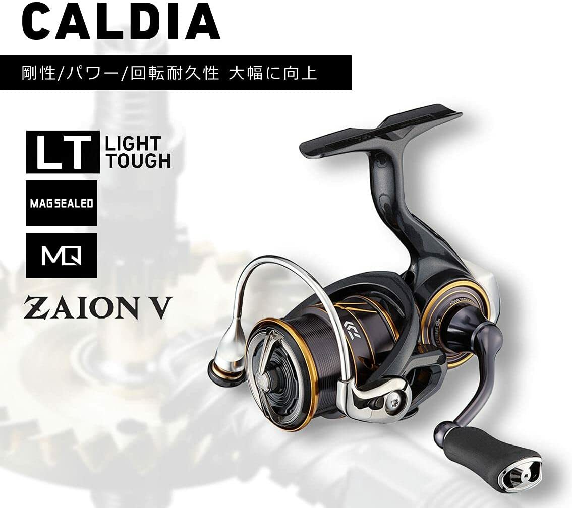 DAIWA 21 CALDIA Fishing Spinning Reel LT2500S-XH From Japan New | eBay