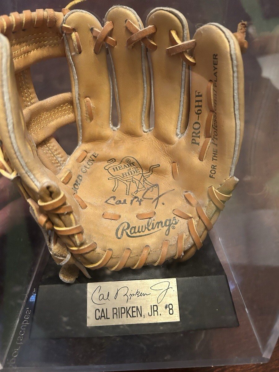 Rawlings カルリプケンJrモデル軟式野球グローブ Rawlings