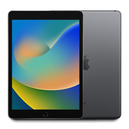 2021 Apple iPad 9 256GB WiFi Only 10.2