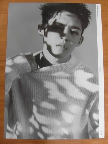SEVENTEEN DIAMOND EDGE OFFICIAL PHOTO CARD JEONGHAN 5PCS SET S