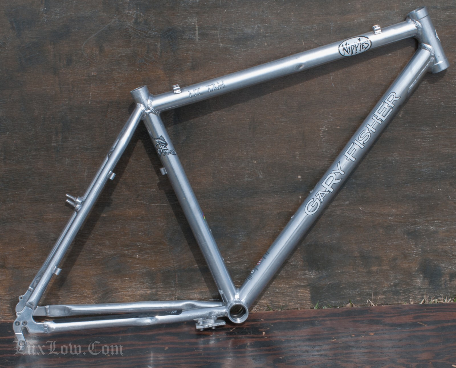 Vintage Gary Fisher MT.Tam Bike FRAME OldSchool MTB Klunker