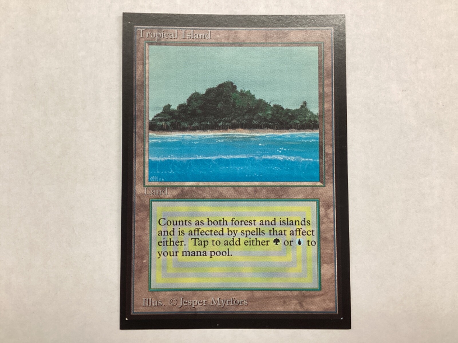 $_57.JPG?set_id=880000500F