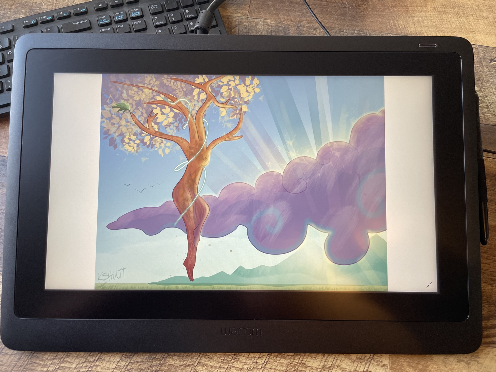 Wacom Cintiq 16 15.6