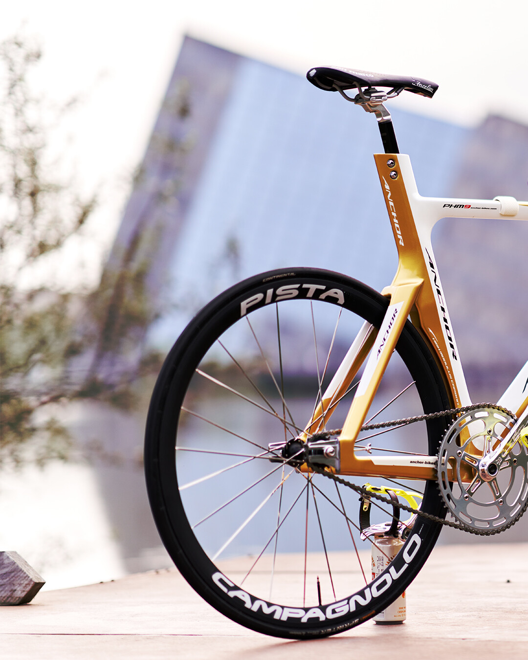 Mint Campagnolo Record Pista Wheel Set Track Bike Fixie Aero 38mm