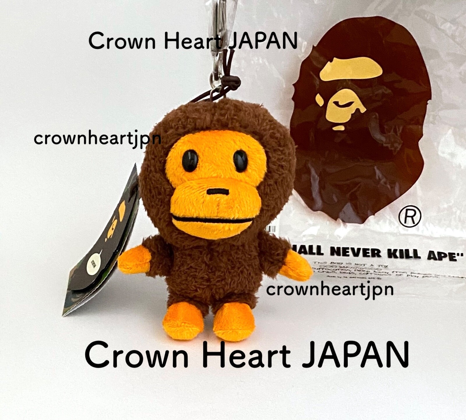 $_57.JPG?set_id=880000500F