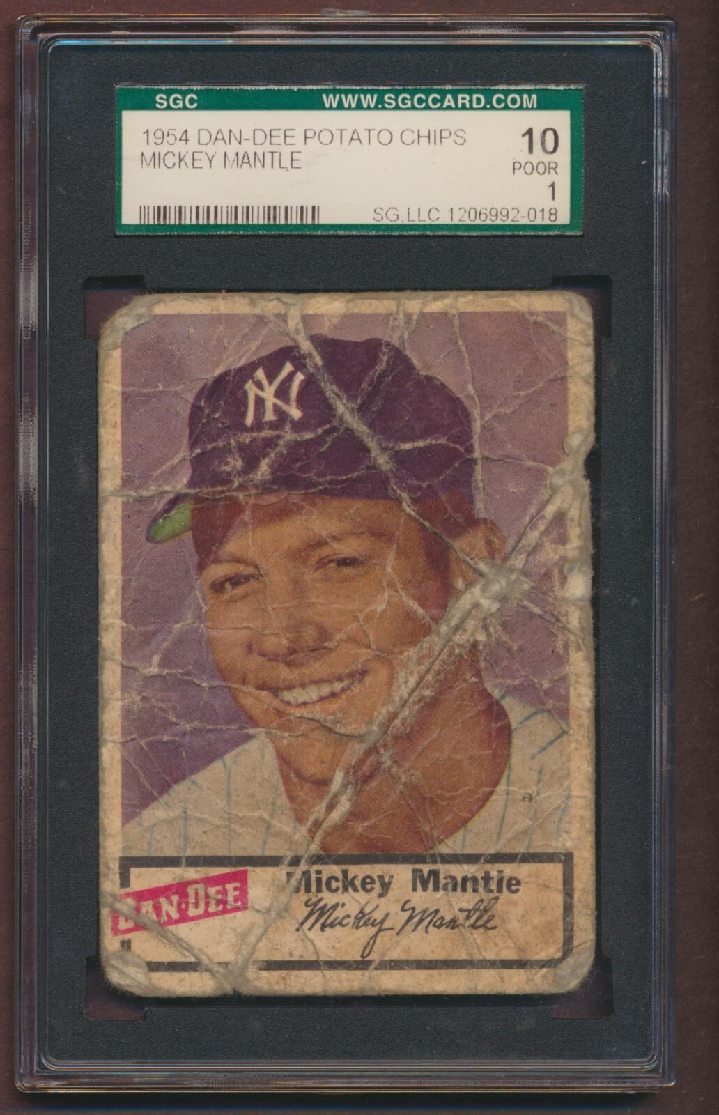 $_57.JPG?set_id=880000500F