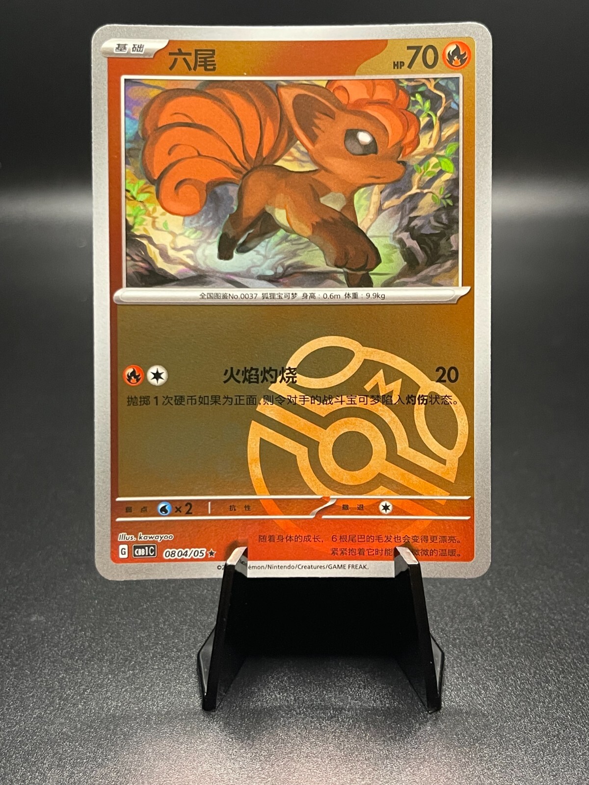 $_57.JPG?set_id=880000500F