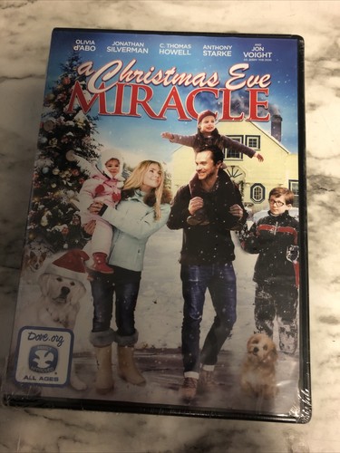 A Christmas Eve Miracle (DVD, 2015) BRAND NEW - Free Shipping