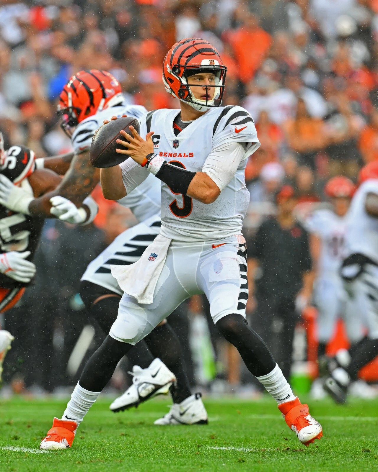 $_57.JPG?set_id=880000500F