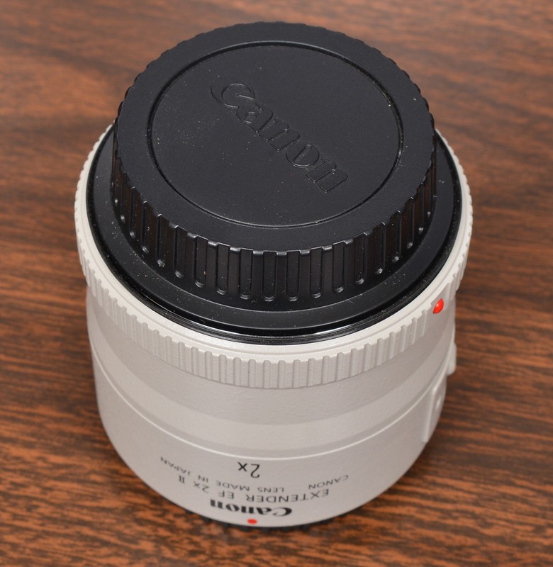 CANON EXTENDER EF 2X II TELECONVERTER For EF MOUNT CANON USA | eBay