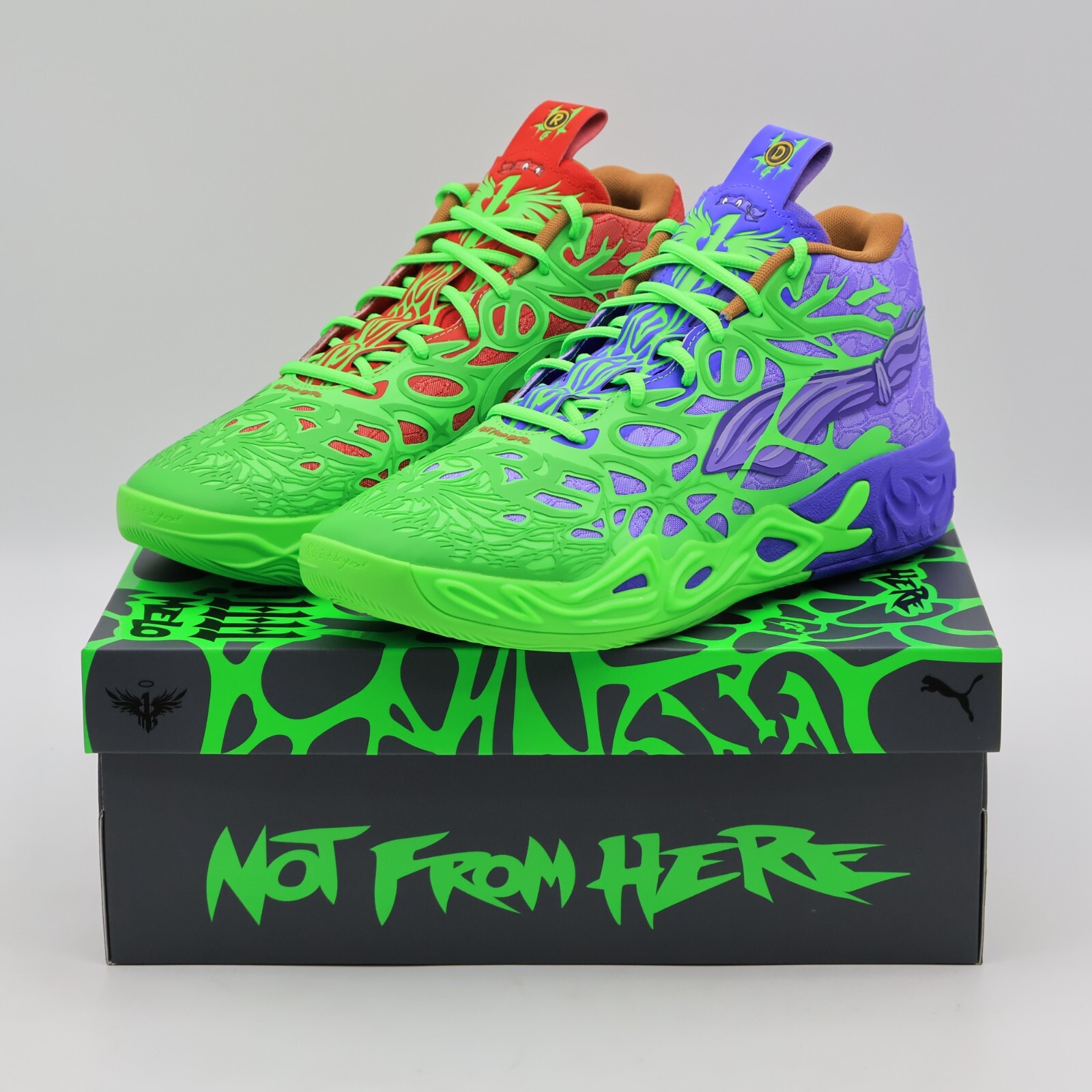 $_57.JPG?set_id=880000500F