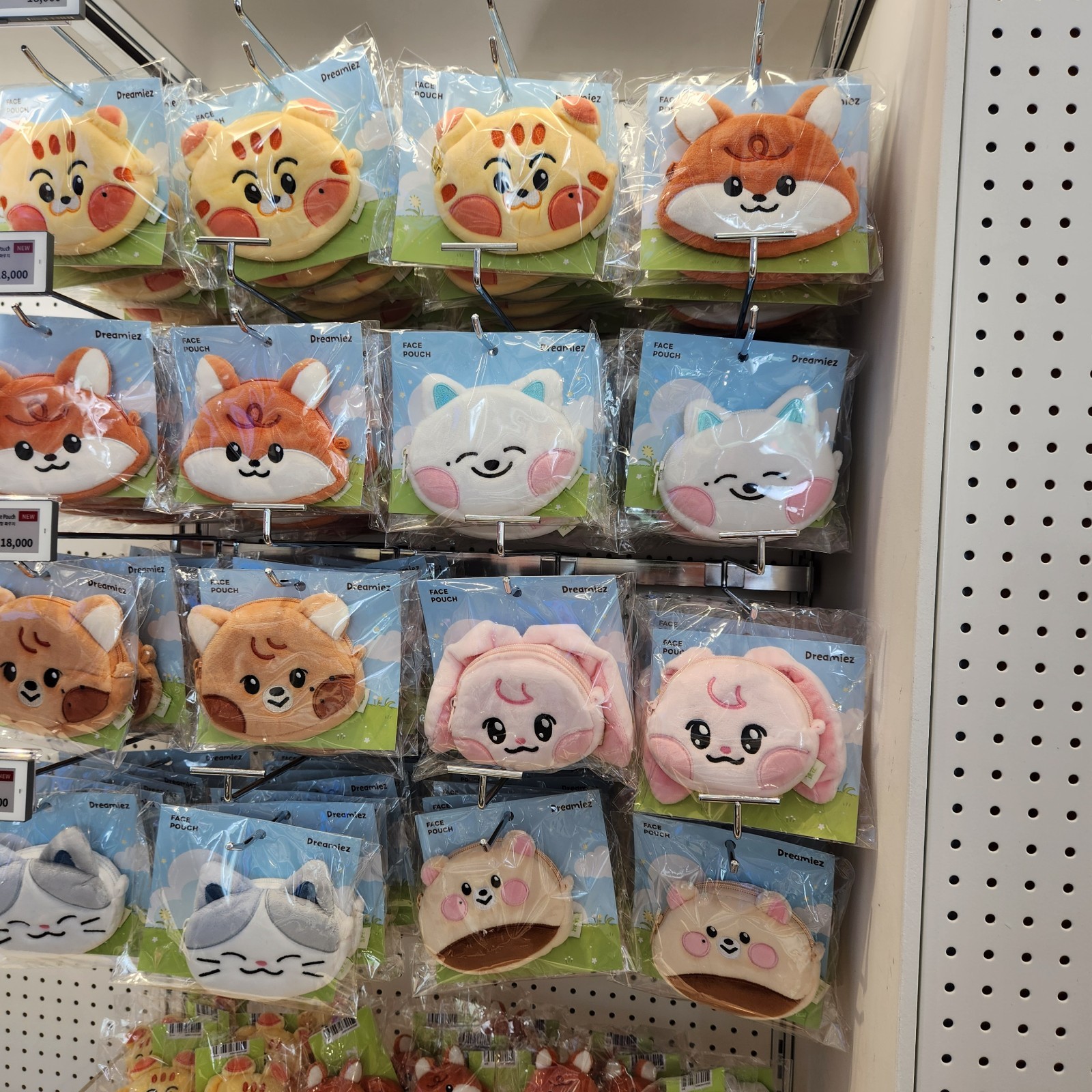 NCT DREAM DREAMIEZ plush FACE POUCH LINE FRIENDS dream Forest | eBay