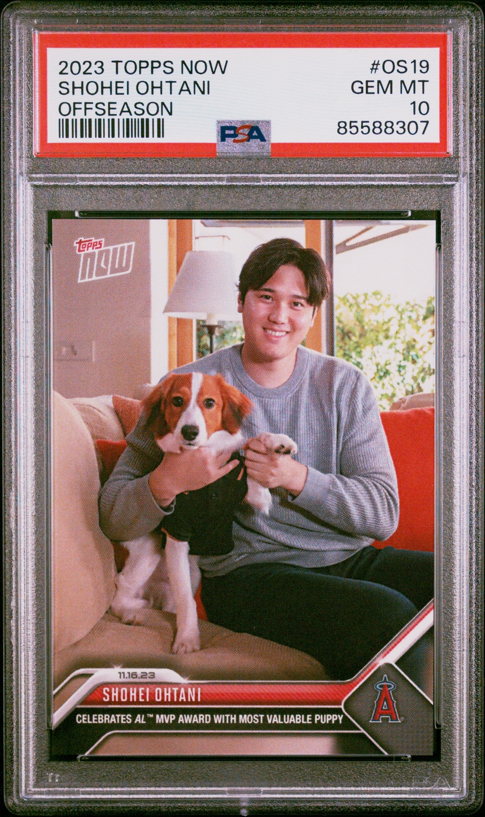 $_57.JPG?set_id=880000500F