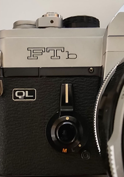 ftn-ql_600.jpeg?v=1724896529