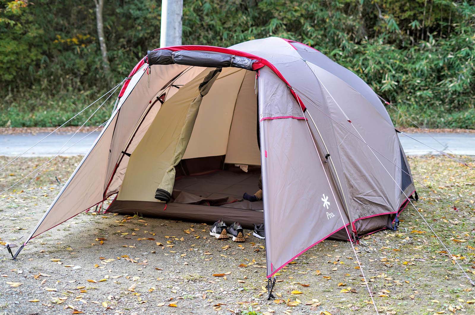 ランドブリーズPro3を買いました