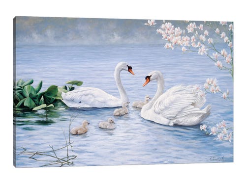 Proud Swan Family Canvas Wall Art by Peter Motz | iCanvas