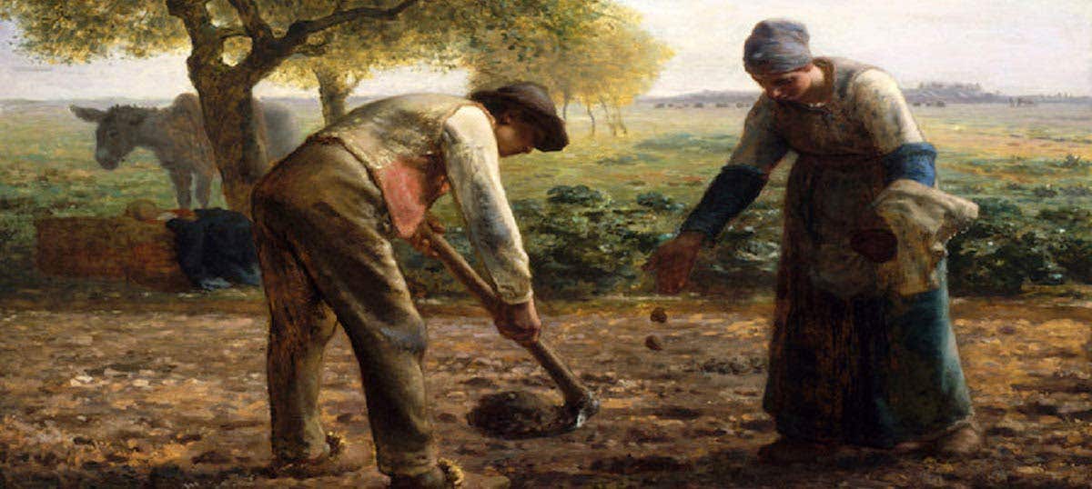 Farmer Art: Canvas Prints & Wall Art | iCanvas