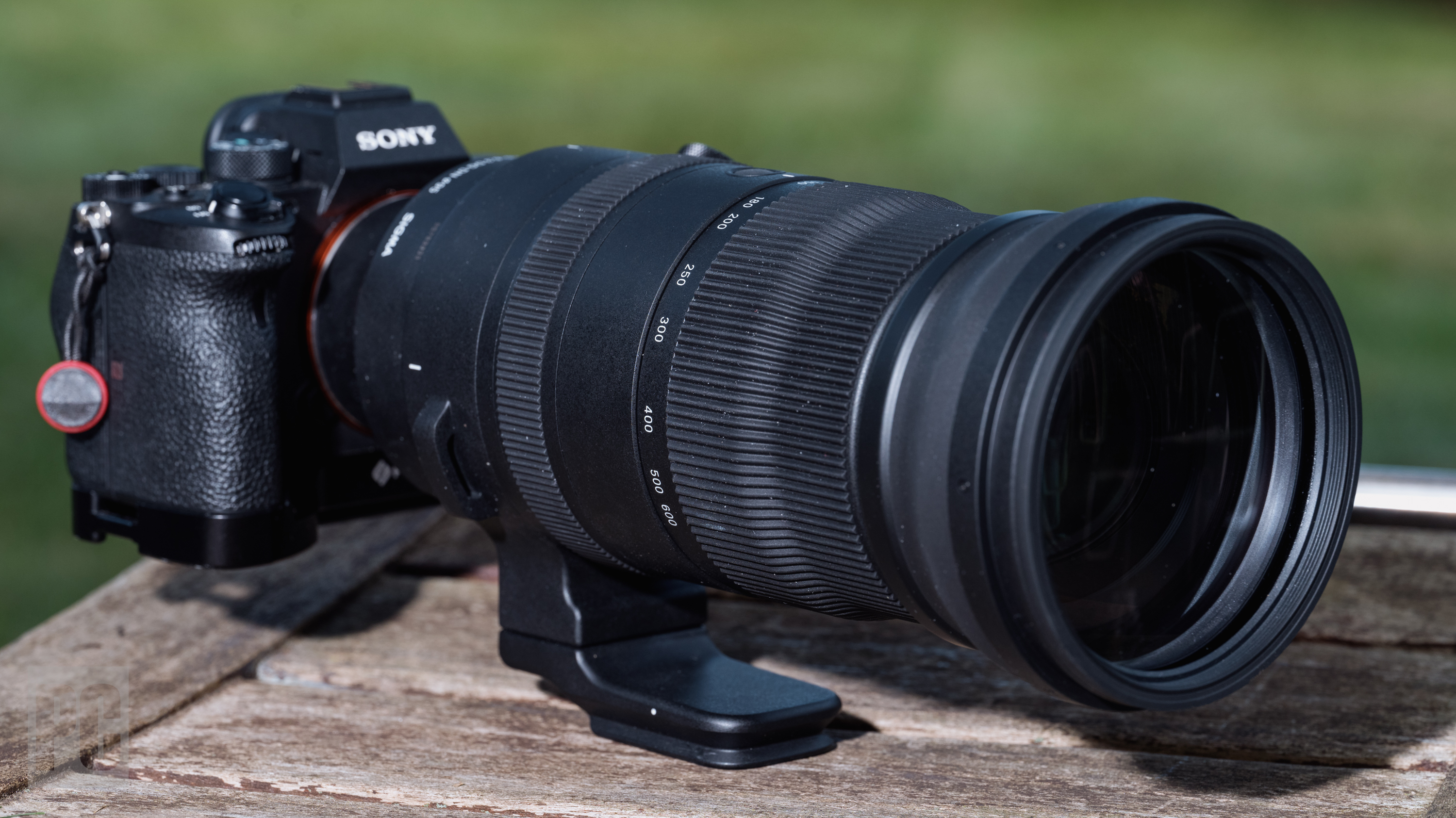 Hands On: Sigma 150-600mm F5-6.3 DG DN OS Sports Lens | PCMag