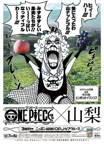 あなたの県は誰が来る！？ONE PIECEが各都道府県の新聞広告をジャック