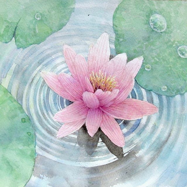 輪 #水#睡蓮#花#波紋#夏#flower#水彩画#水彩#watercolor#ryoyufukui