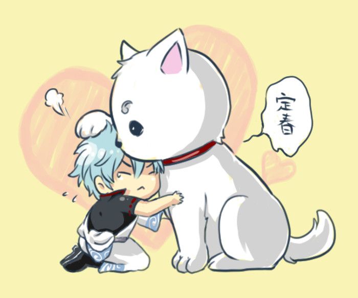 銀魂 坂田銀時 定春