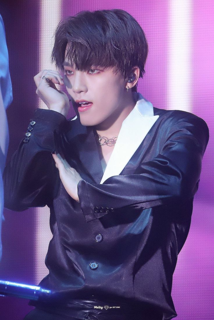 Seventeen ディノ」のアイデア 33 件 | seventeen ディノ, チャニ, ホシ