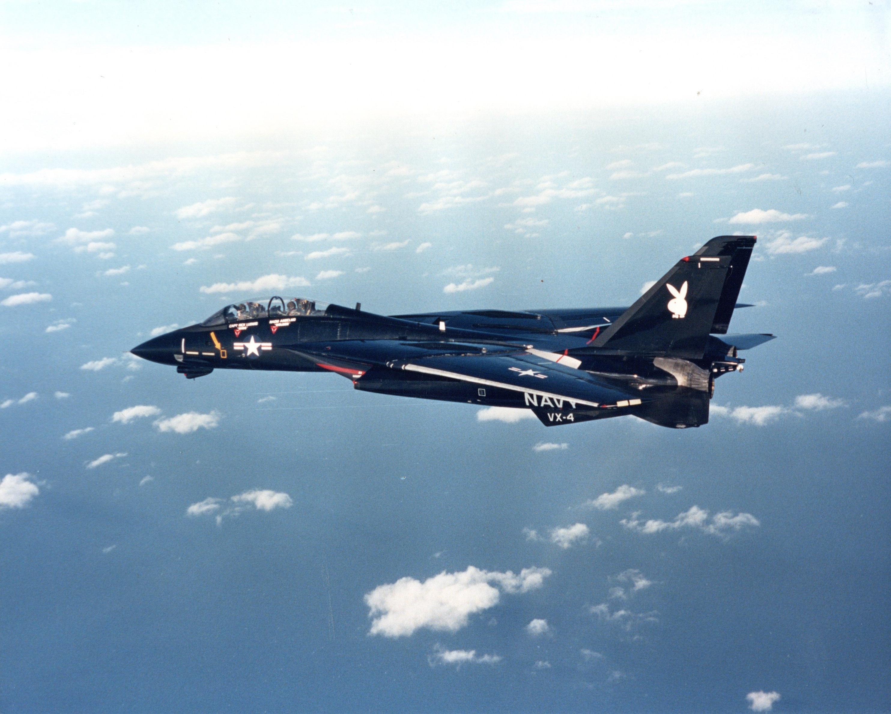 VX-4のブラックバニー塗装のF-14Aの素晴らしいショット。 : r/aviation