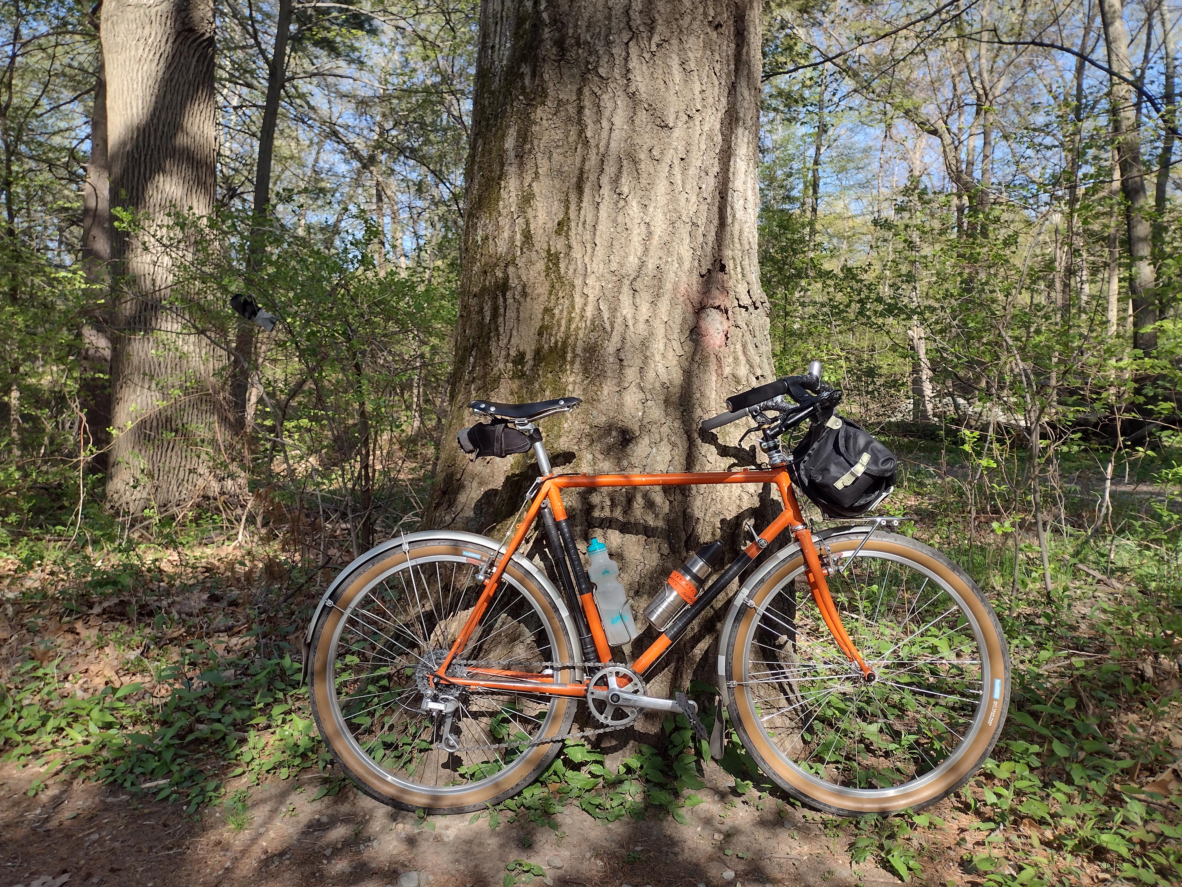 Lush and plush today – really loving these Whisky Winston bars