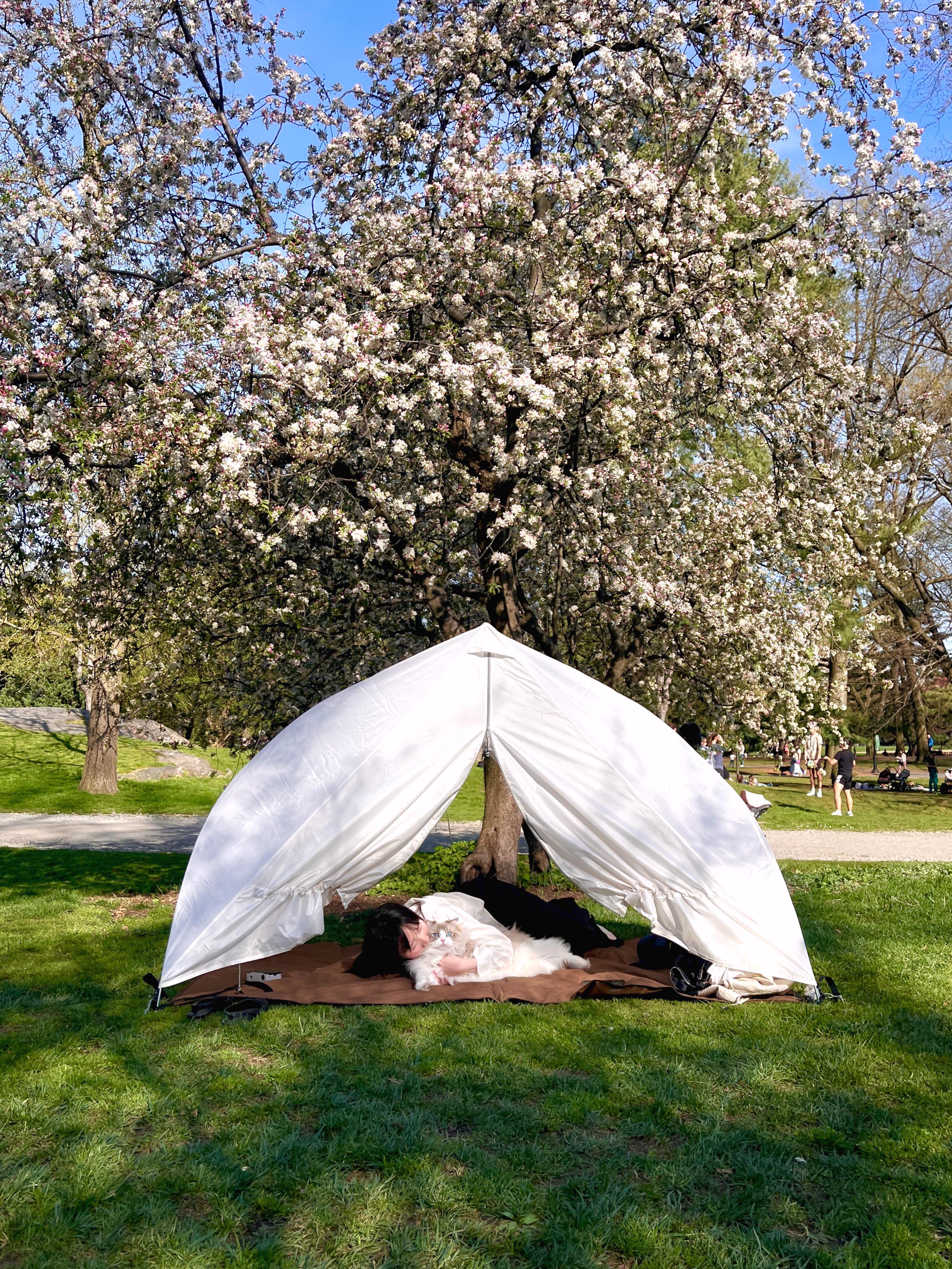 Toya 2 is underrated : r/snowpeak