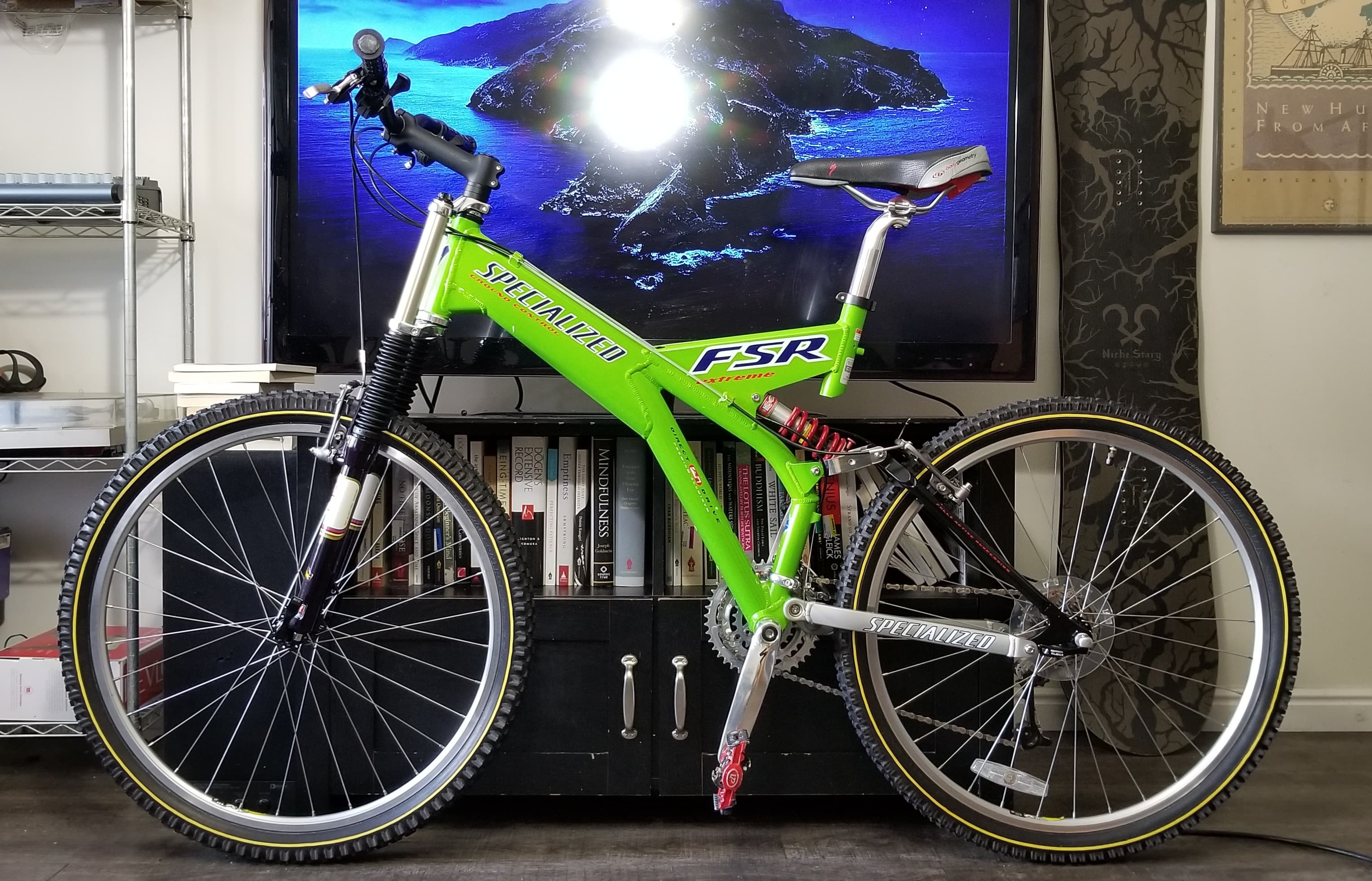 1998 Specialized FSR Ground Control Extreme - Aka Grasshoppa, aka