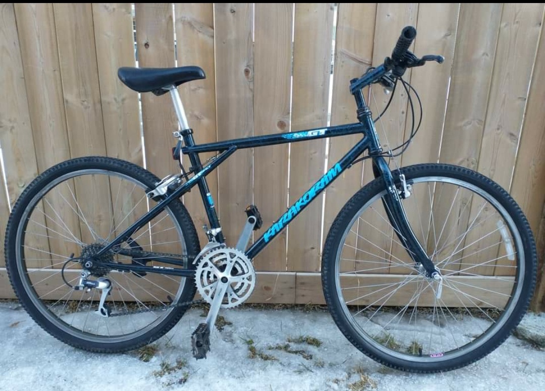Late 90s GT Karakoram. Worth $120 CAD? Deore LX : r/xbiking