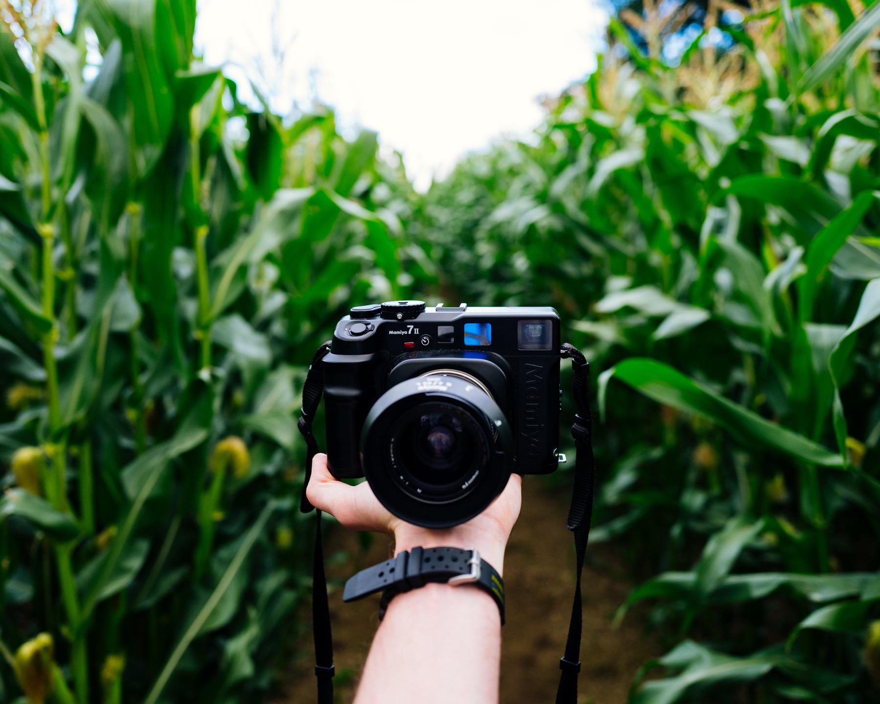マミヤ7はマジで最高だよ : r/AnalogCommunity