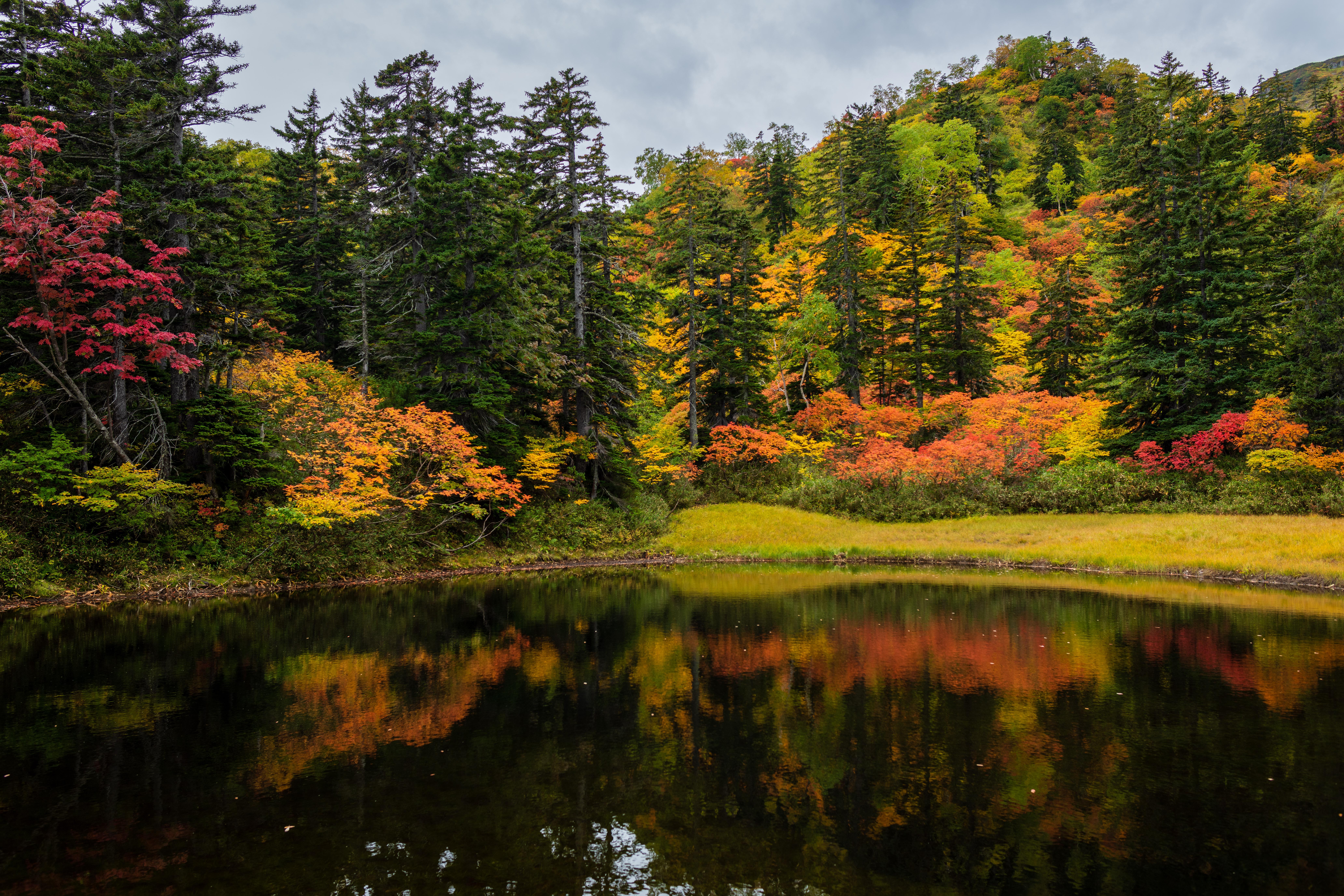 Autumn Colours in the Daisetsuzan National Park, Hokkaido - Kogen