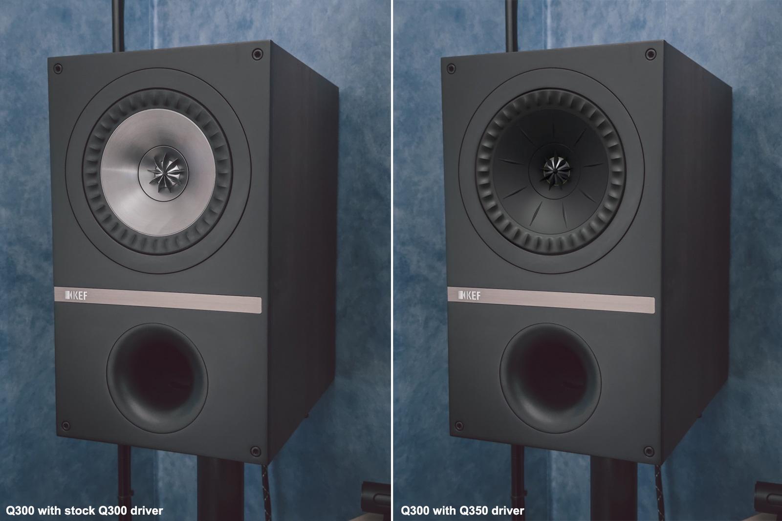 KEF Q300 持ってるんだけど、ブラックアウトされた Q350 のドライバー