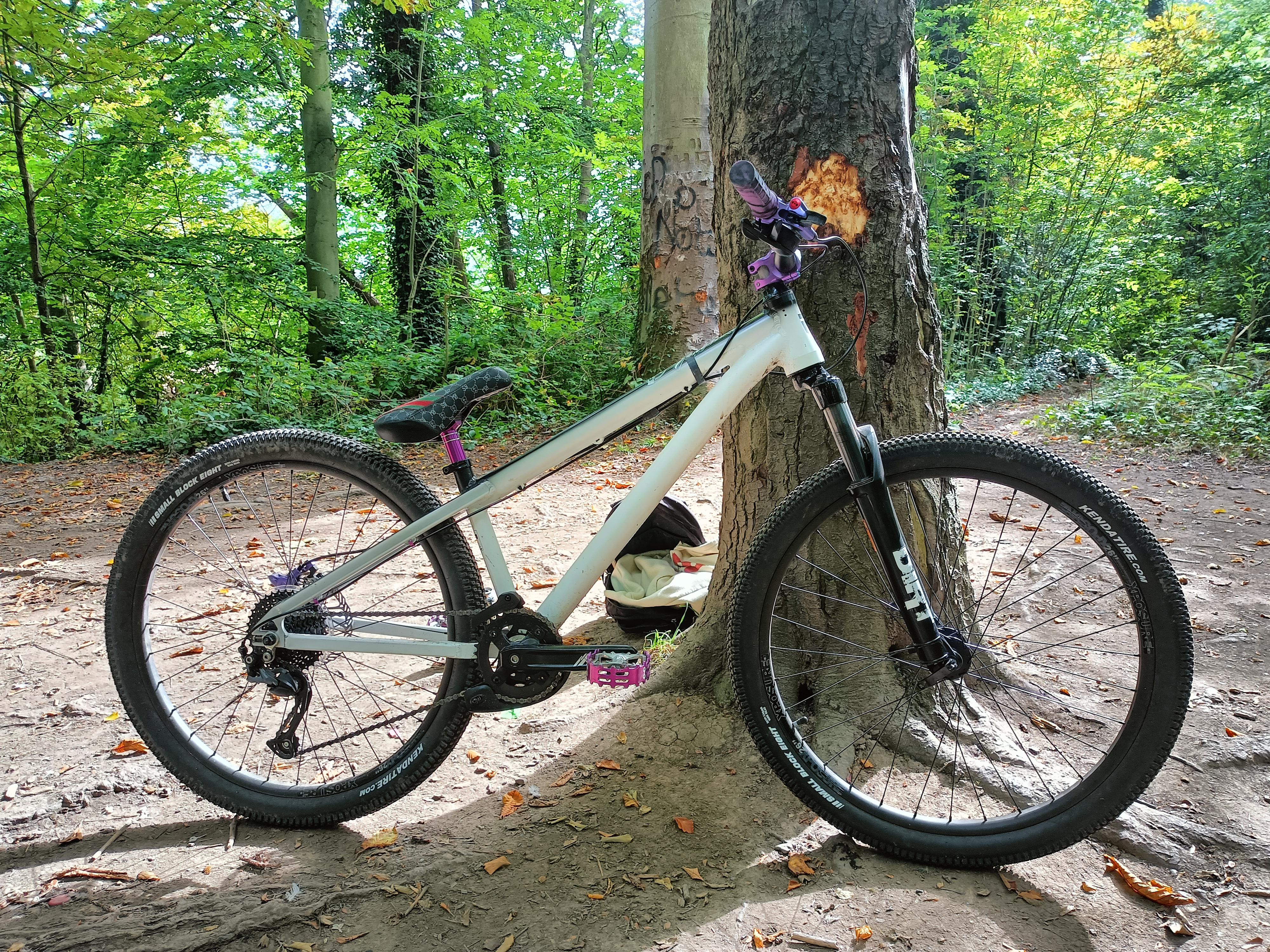 マンゴーシュのファイヤーボール、カスタムパーツ付き。 : r/dirtjumping