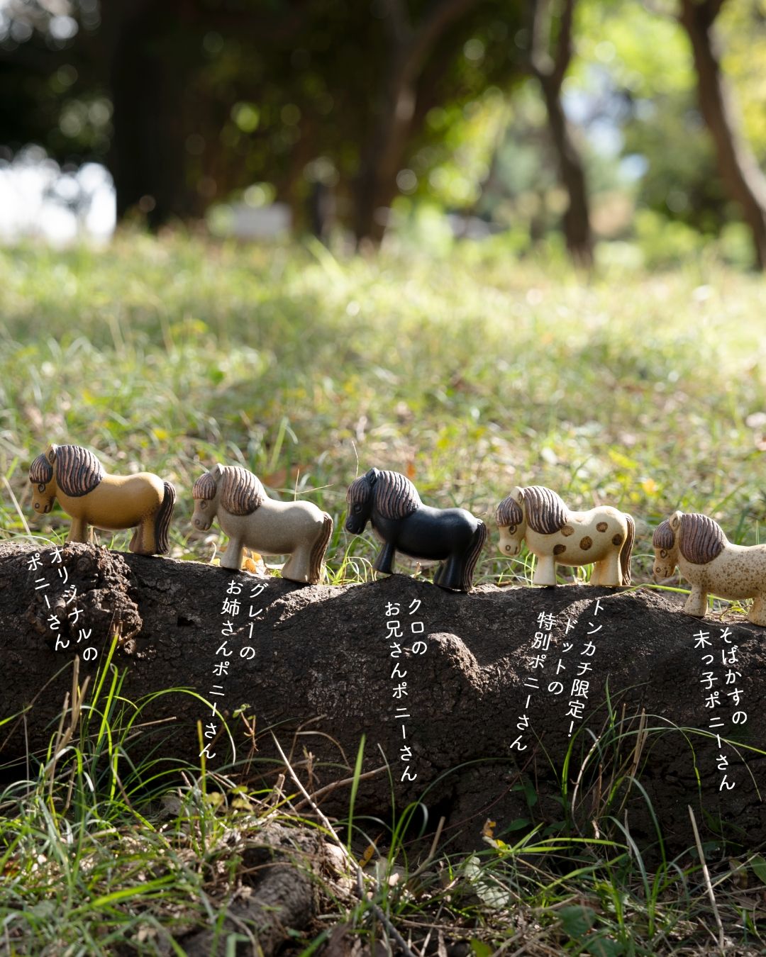 君に会いに来たよ。 リサ・ラーソンのポニーさん