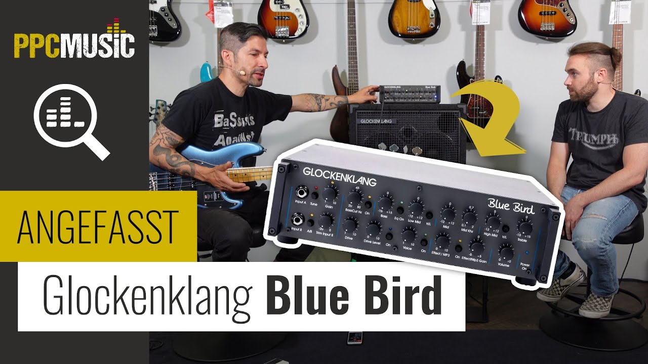 Wir testen den Glockenklang Blue Bird! DER Amp für deinen Bass