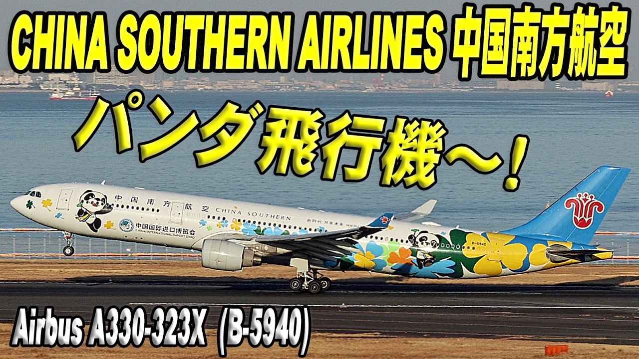 ポケモンジェット Pokemon Pikachu Jet (PK-GPY) ガルーダインドネシア