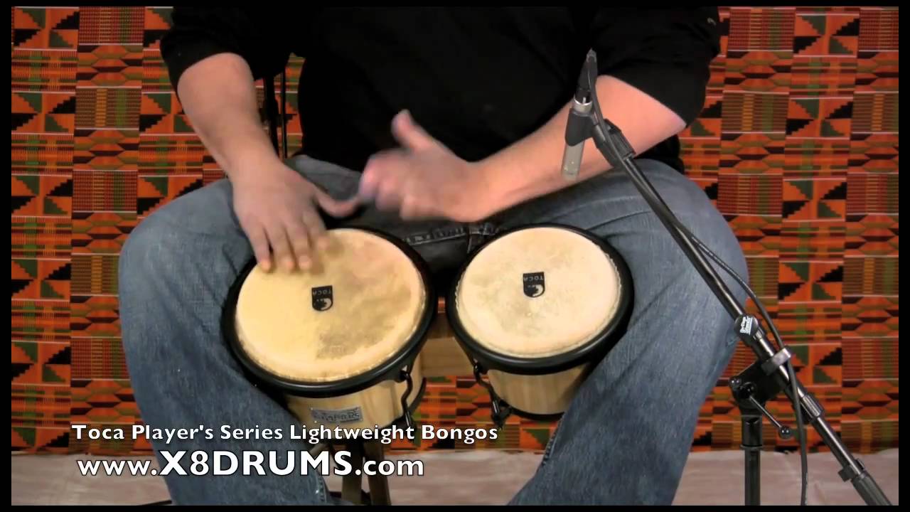 Bongos at X8 Drums: TOCA PLAYERS LIGHTWEIGHT 2600N - YouTube