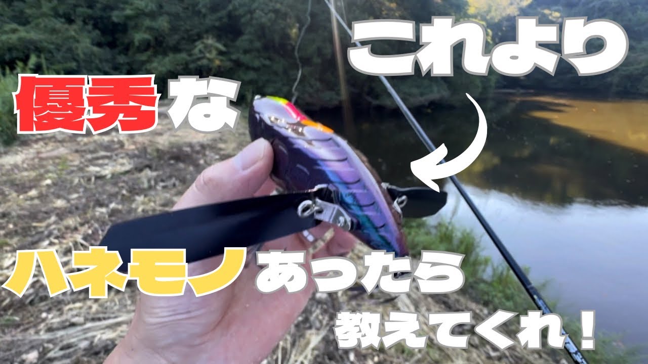 ウイングダックスくんって実際どうなの？羽根モノマニアが徹底レビュー