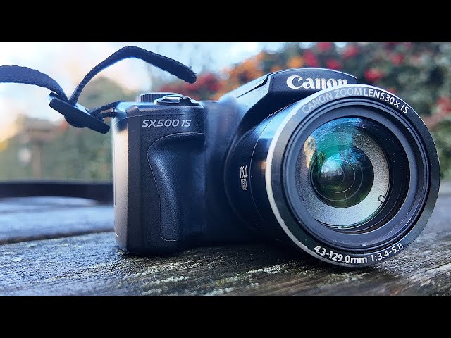 Perfect Beginners Photography Camera on a Budget Explained in 2025