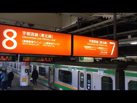 乗車編]『E231系』2018/1/7(JR宇都宮線｢湘南新宿ライン｣[JR東北本線